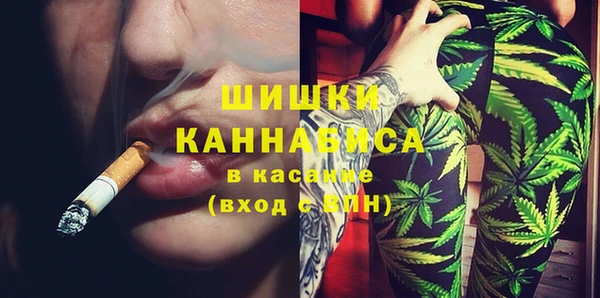 ECSTASY Бородино